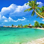 Summer Season Image