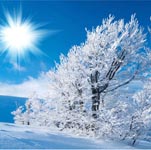 Winter Season Image