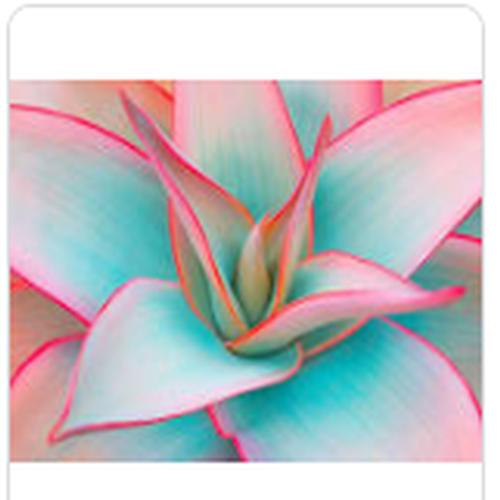 Member 63424 Profile Image