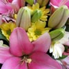 Floral Notes Note Image